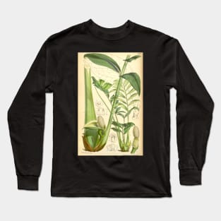 ZZ plant - botanical illustration Long Sleeve T-Shirt